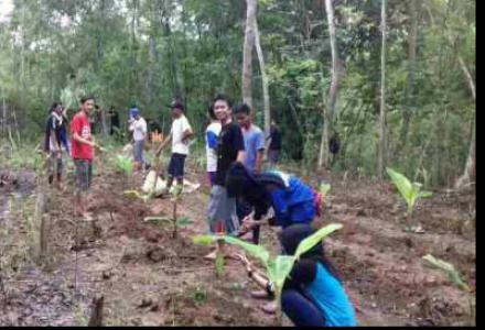 KARANG TARUNA DESA DLINGO BERTANI PISANG DAN GARUT